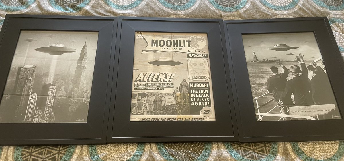 Received and framed my <a href="/Thirteenth_Flr/">Thirteenth Floor</a> prints.   I LOVE them.  Can’t wait to hang them in the new place. 🛸