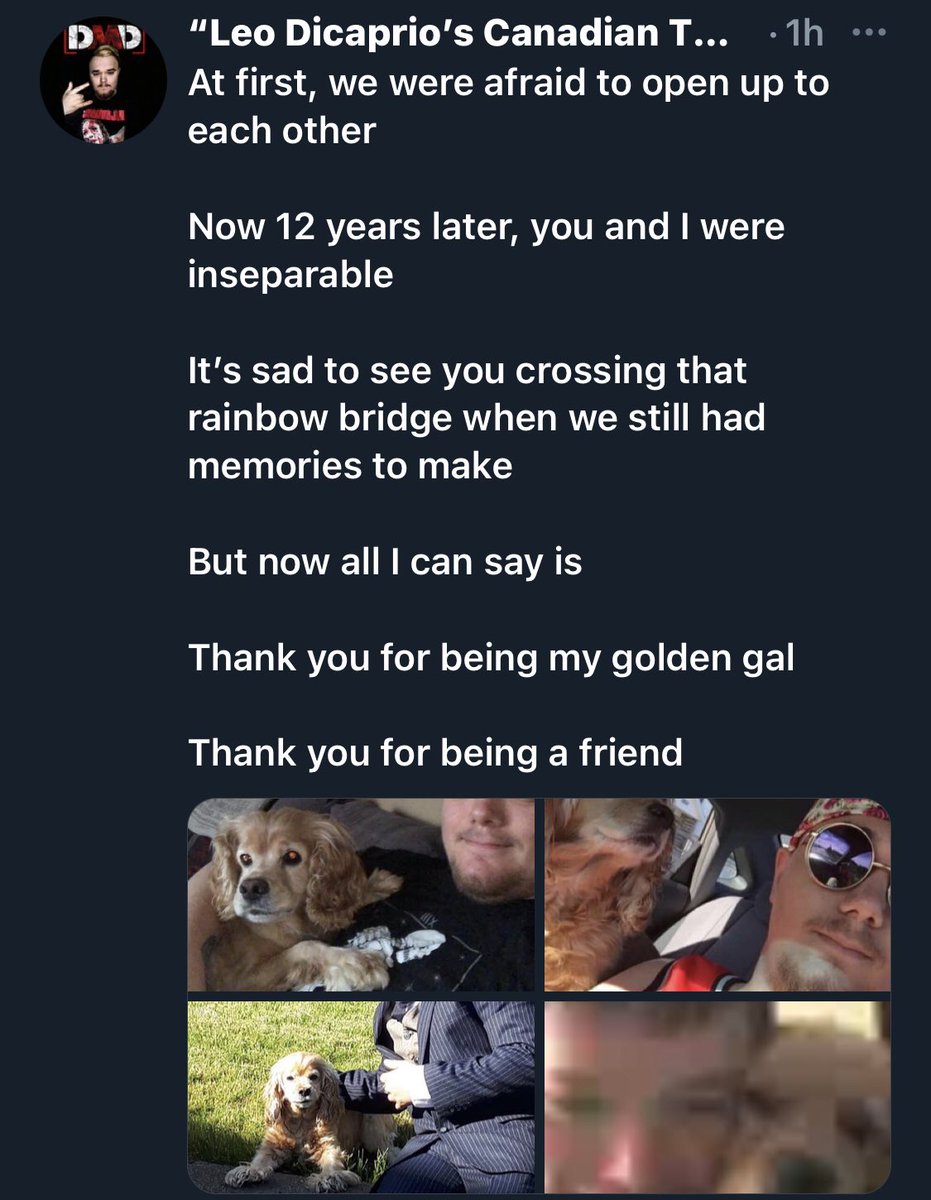 “Big PLAKATA Energy” Kyle McGrath ❄️♊️🏳️🌈 tweet media