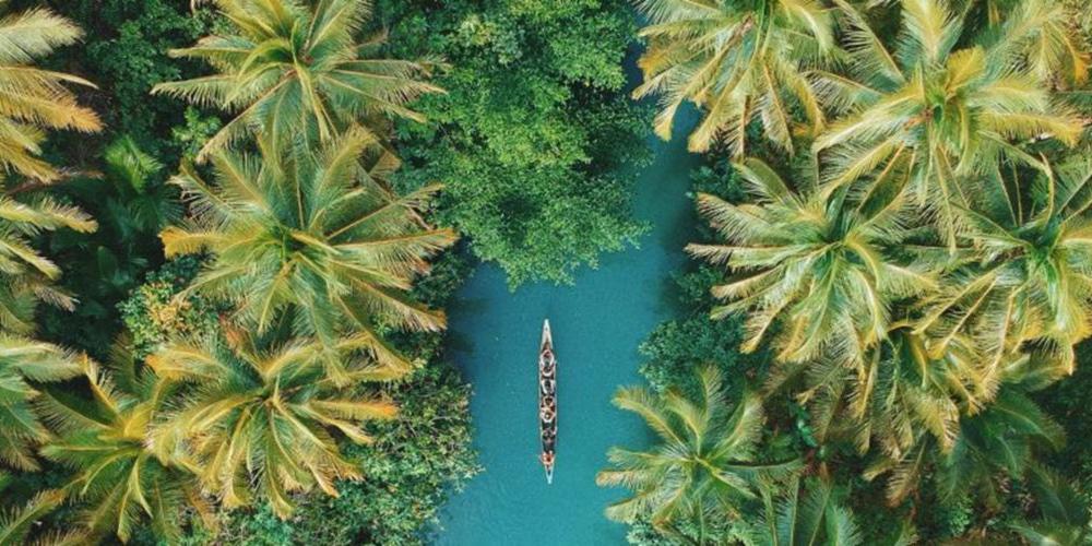 Les #Tropiques représentent 80% de la biodiversité mondiale mais sont confrontées à une variété de défis dont le changement climatique, la déforestation, et autres.

Célébrons mardi #TropicsDay, une région au potentiel immense. un.org/fr/observances…