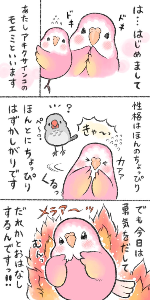 マンガ「あたしにできるかな?」

新しい仲間が登場します💕
そして相変わらずの子たちも、、😆

#アキクサインコ #セキセイインコ 