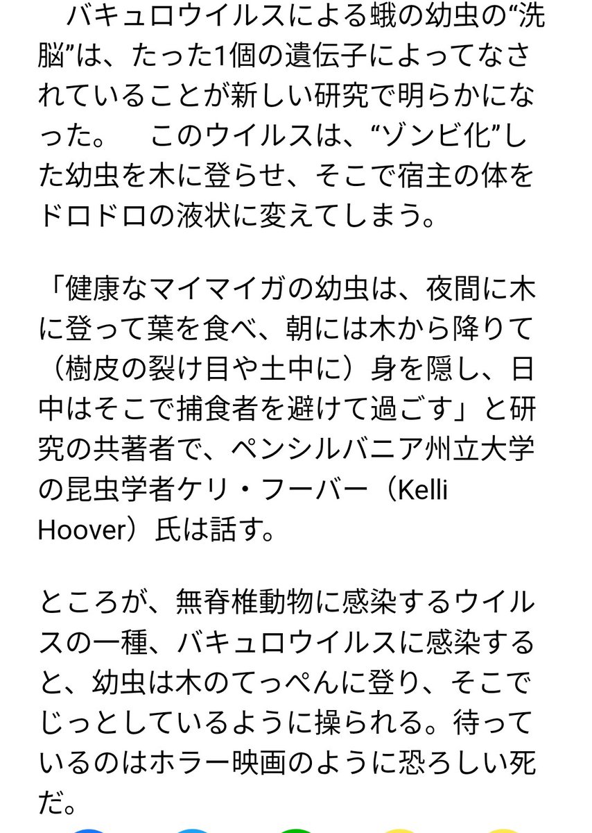 antinetouyo777's tweet photo. シオノギの
ワクチンは本当に
やばそうです

ワクチンに入ってる
バキュロウイルスは

蛾の幼虫を
ゾンビ化させ
洗脳で木に上らせ

宿主の体を
ドロドロにするそうです

こんなわけの
わからないものは
絶対に打ってはいけません

よく調べて
拒否してください https://t.co/vr6iDEP7vd