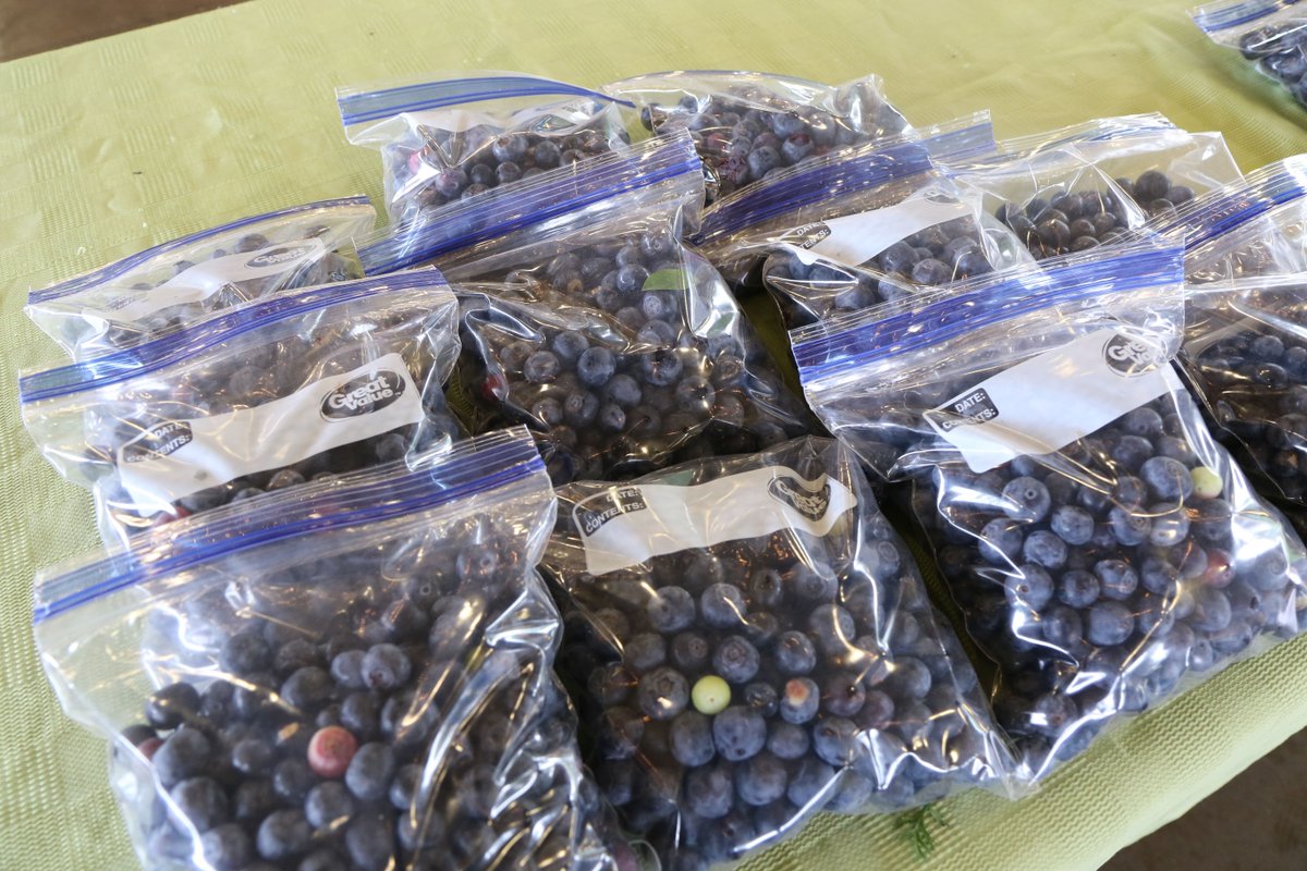 tuscaloosacity's tweet photo. Gregory's Blueberries has been growing blueberries for seven years! 😋 

His favorite part about the farmers market is the people that come to his table. #FeaturedFarm https://t.co/WnvVnkwm4r
