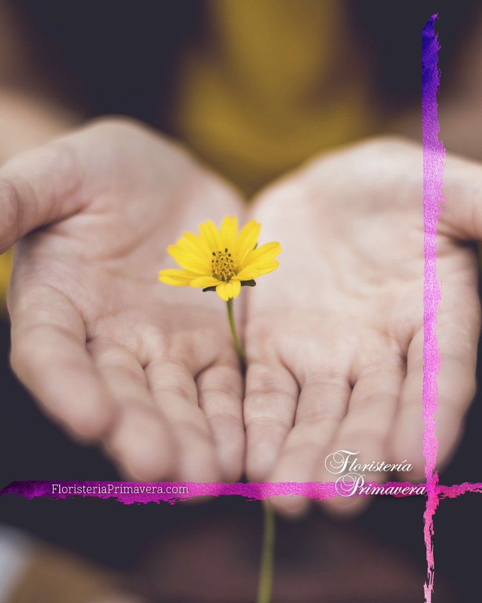 florprimavera's tweet photo. 💘 Las flores te ayudan a expresar esos sentimientos encontrados dentro de tu corazón. 💘

#FloristeríaPrimavera #Flores #Floristería #ArreglosFlorales #Trujillo #Perú #Lima #Flowers #Florista #DetallesQueEnamoran #Rosas #Detalles #Tulipanes https://t.co/i2L5uYZOOh