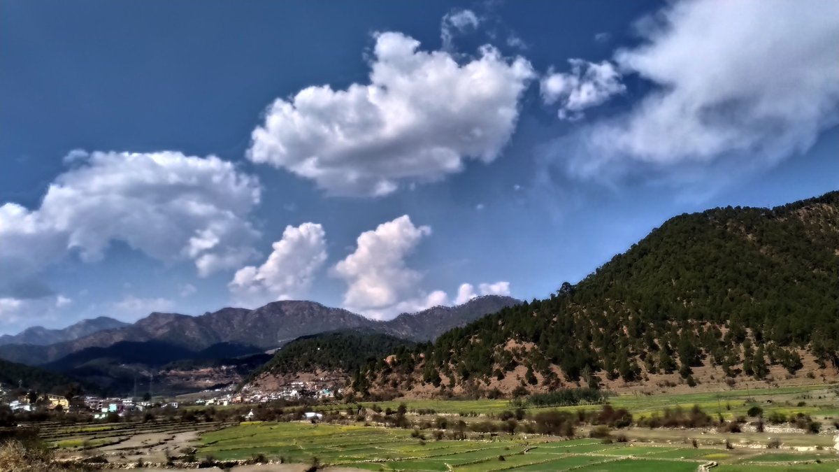 HemanshuBhanda4's tweet photo. #उत्तराखंड_मांगे_भू_कानून
#उत्तराखंड
To save our beautiful land we have to take a step together to save our land 🙌🙌🙏🙏🙏😇😇😇 https://t.co/TfhvHPWiOS
