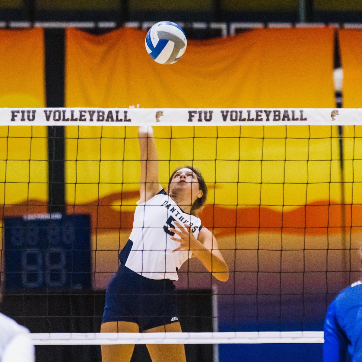 FIUVolleyball's tweet image. Elevate your game! 

#PawsUp🐾 | #PantherPride