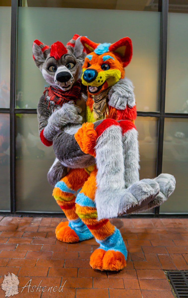 DayzerHusky's tweet photo. “Don’t show them my butt!!” 

W/ @mystDingo 

📸@AshenedFox https://t.co/VQR7hqfNuA