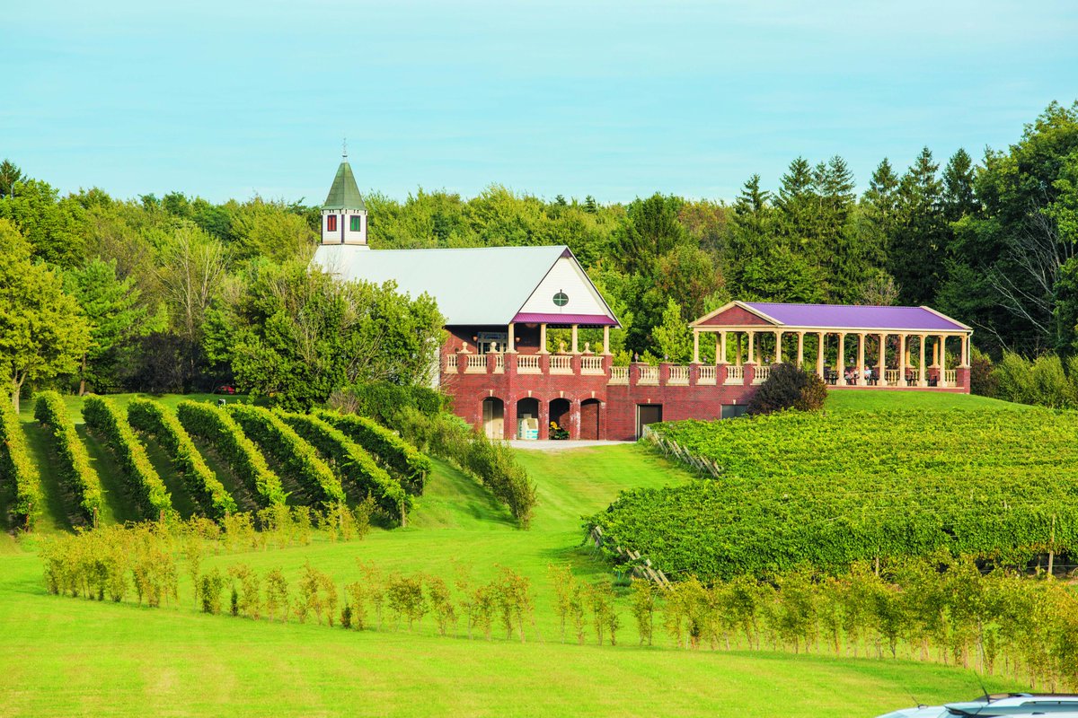 ClevelandMag's tweet photo. South River Vineyard’s countryside views are straight out of a European destination — and the wine is just as good. 🍷🍇
Visitors love the 140-acre vineyard, the 1892-built antique church and the wine made in the underground wine cellar. #CLEWine
More: https://t.co/P3pzu1PCku https://t.co/qeVXBeYQgs