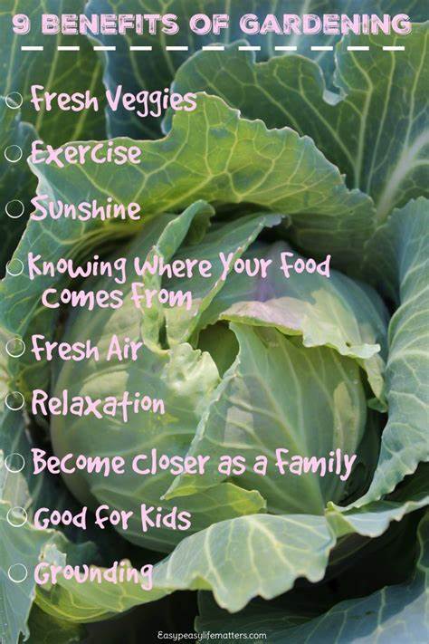 Westturf Landscape Management Inc. (@westturfl) on Twitter photo 