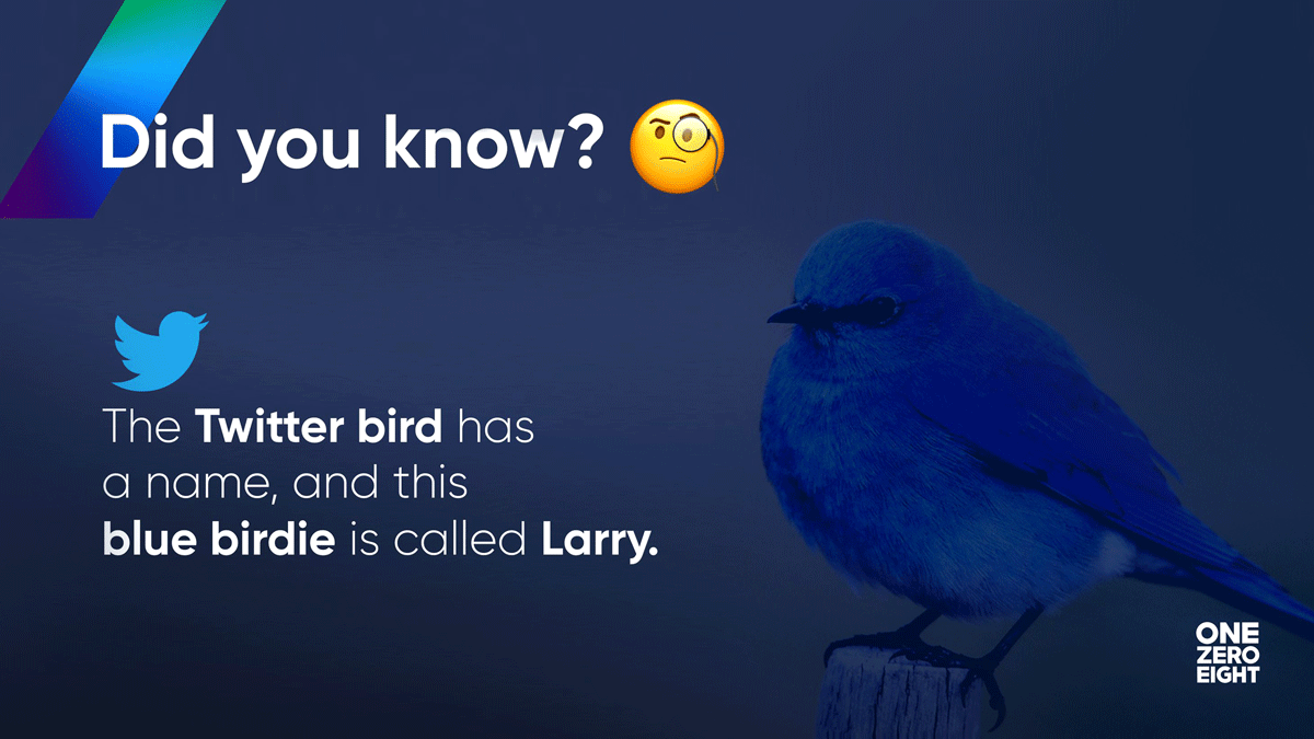 larry bird twitter
