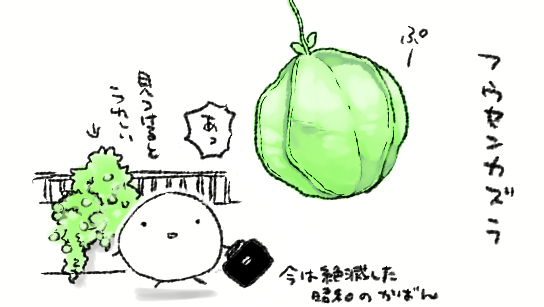そういやそろそろフウセンカズラの季節ですね
中学生のときの通学路にフウセンカズラを植えてるお宅があって、その印象が強いんですが、中学生活って考えてみると3年間しかなかったのに永遠みたいな長さだったな…授業まるで解らなかったからかな…とにかく長かった…というのを思い出す