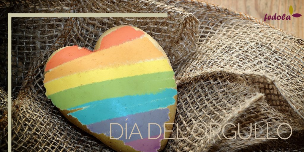Color arco iris para nuestra papa... por la tolerancia, respeto, diversidad, derechos, igualdad, amor y libertad en el Día Internacional del Orgullo LGTBI 🏳️‍🌈  

#DiaDelOrgullo  #DíadelOrgulloLGTBI