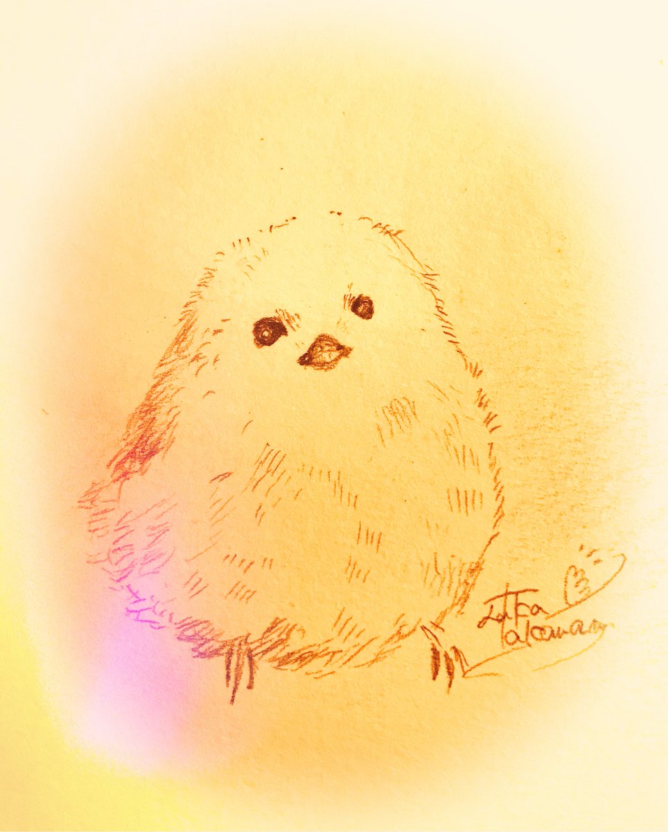 もた على تويتر ほっこりする絵