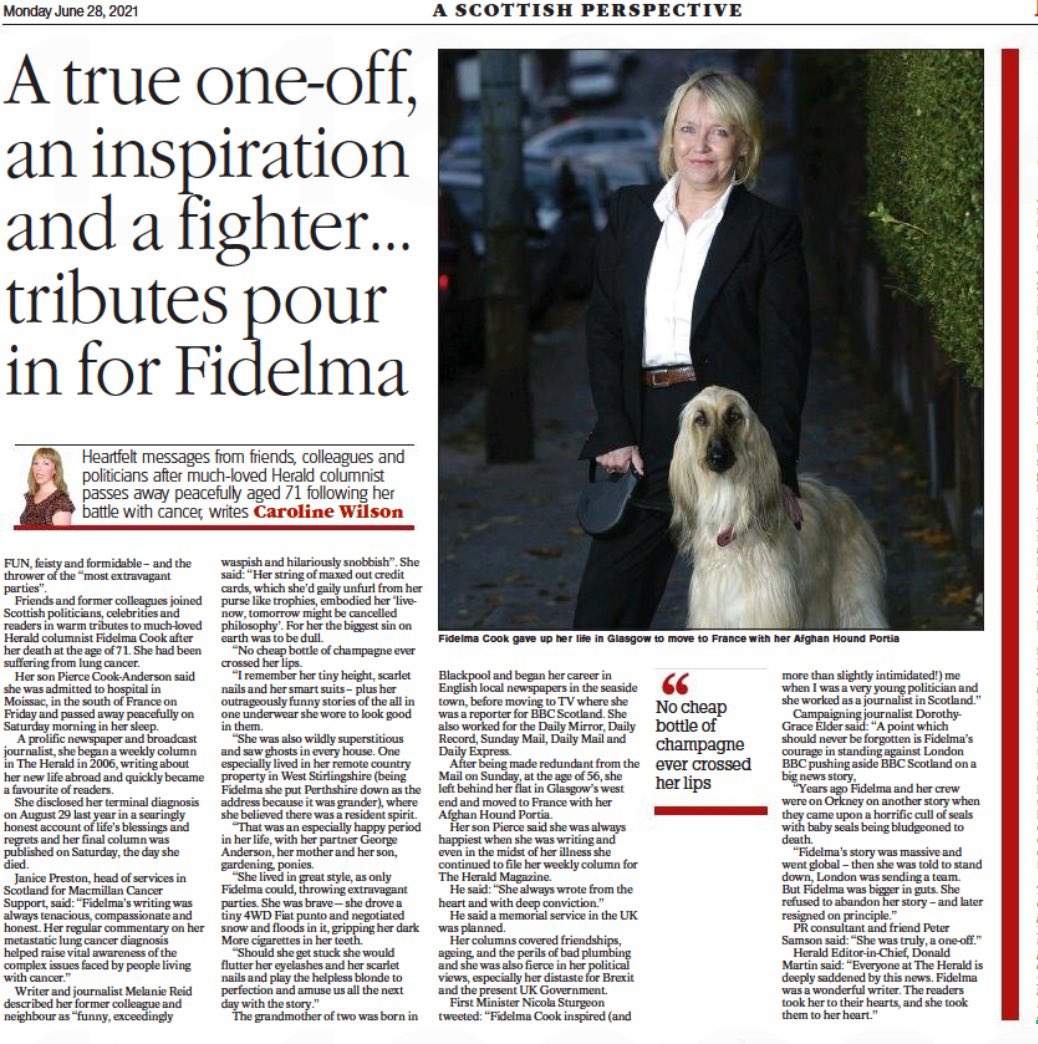 fidelma cook tweet media