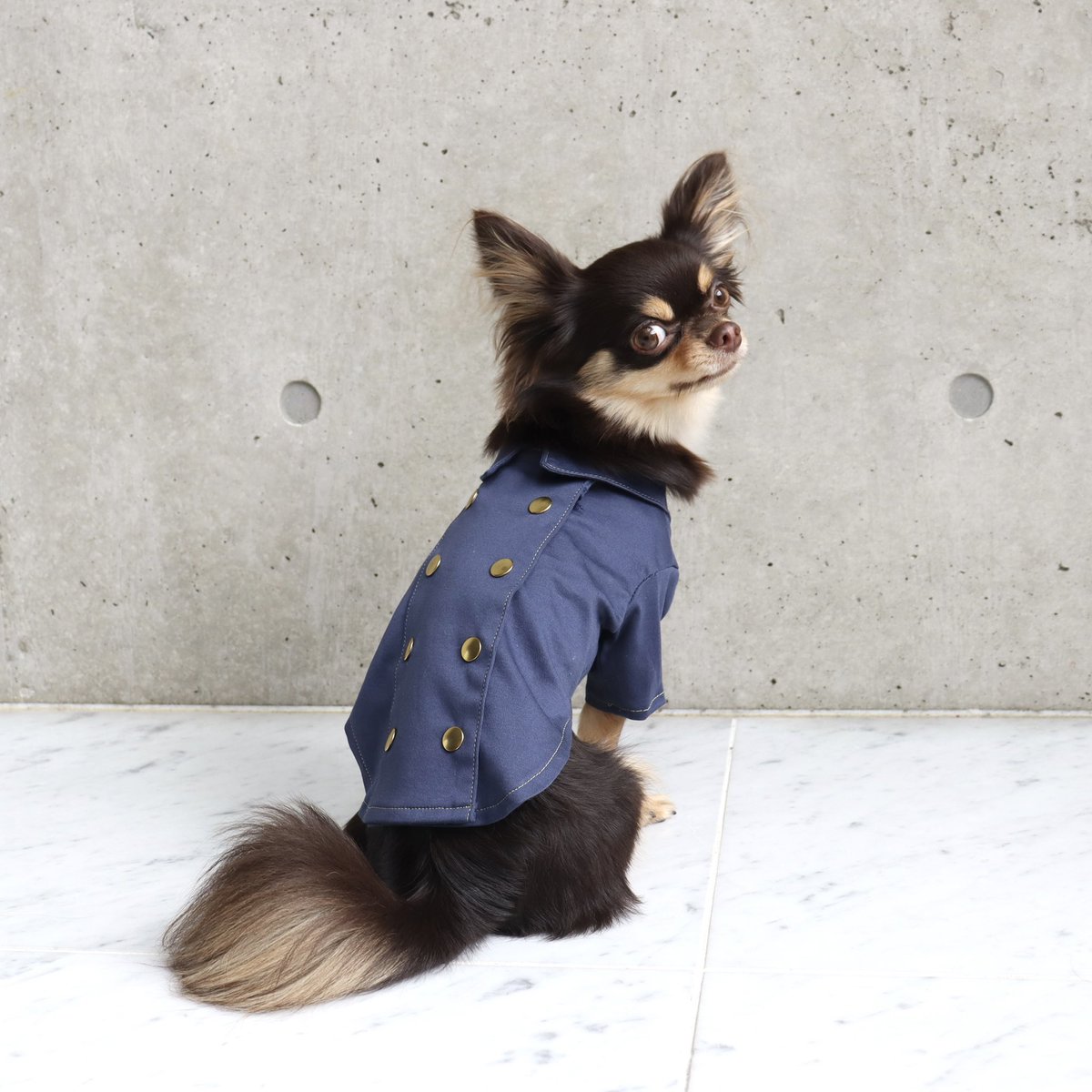 weib_dog's tweet photo. -weiβ21SS tops-
coming soon…
#CoolTouch ナポレオンシャツ
(IVO/NVY)

伸縮性
★★☆

光沢感のある接触冷感のスムース生地を使用し、ボタンが2列並んだフォーマル感のあるデザインです
上品なデザインですが、後ろ開きデザインなので着せやすさも抜群
ブランドロゴのワンポイントを首に♡ https://t.co/bwNqAXJszn