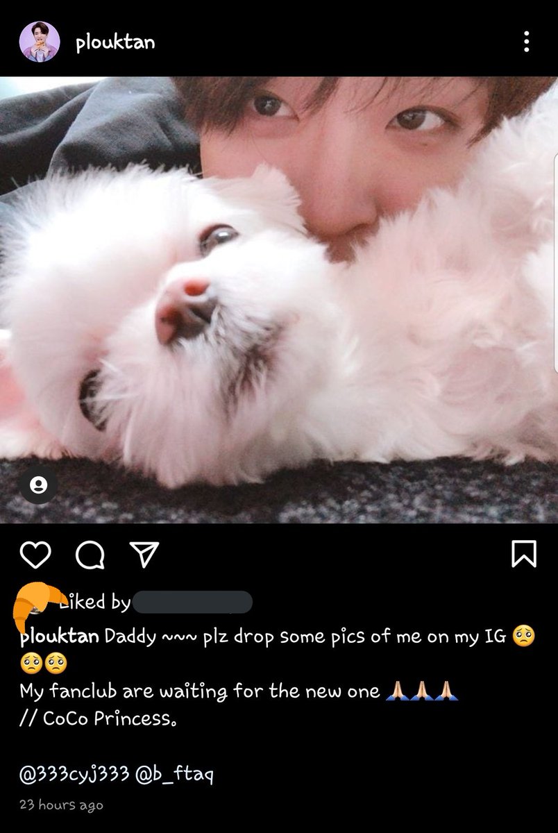 PLouktan's tweet photo. เมื่อวาน แม่ขาไปงองแงใน IG ของ CoCo ให้พ่อจ๋าลงรูปลูกหน่อยยย คิดถึง~~
แล้ววันนี้ พ่อจ๋ามาลงงง !!! 💜💜💜
🥐💜🌙 ยองแจน่ารักที่สุดเลยค่ะ
#코코 #최코코 #코코는영재 #AllAboutCo #CoCo #โคโค่
#PrincessCoCo #ครัวซองต์ของทเว
#영재 #최영재 #Youngjae #ยองแจ
#ArsXCoCo @GOTYJ_Ars_Vita https://t.co/aYpMR7x5A8