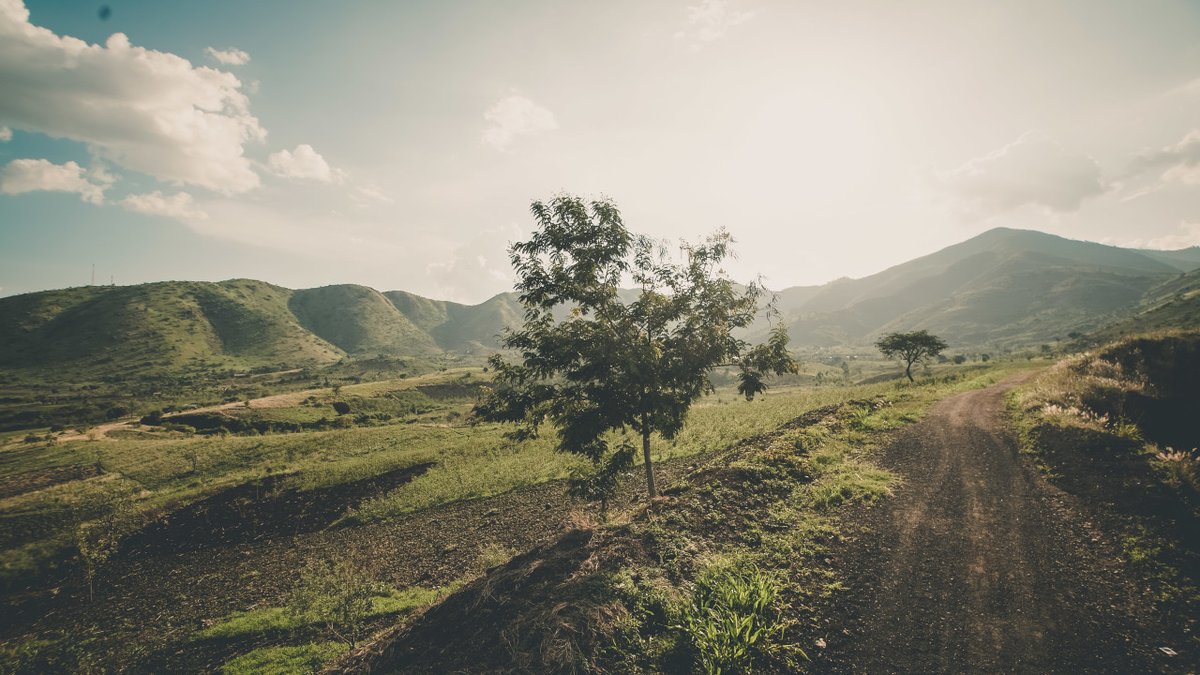 The #AbTF published their #annualreport 2020!The AbTF's engagement made great strides in 2020 despite a bevy of global challenges. It was a successful year for the foundation's activities in Sub-Saharan #Africa &amp; #InnerMongolia: ➡️ bit.ly/3w6dmxz #goodcashmere