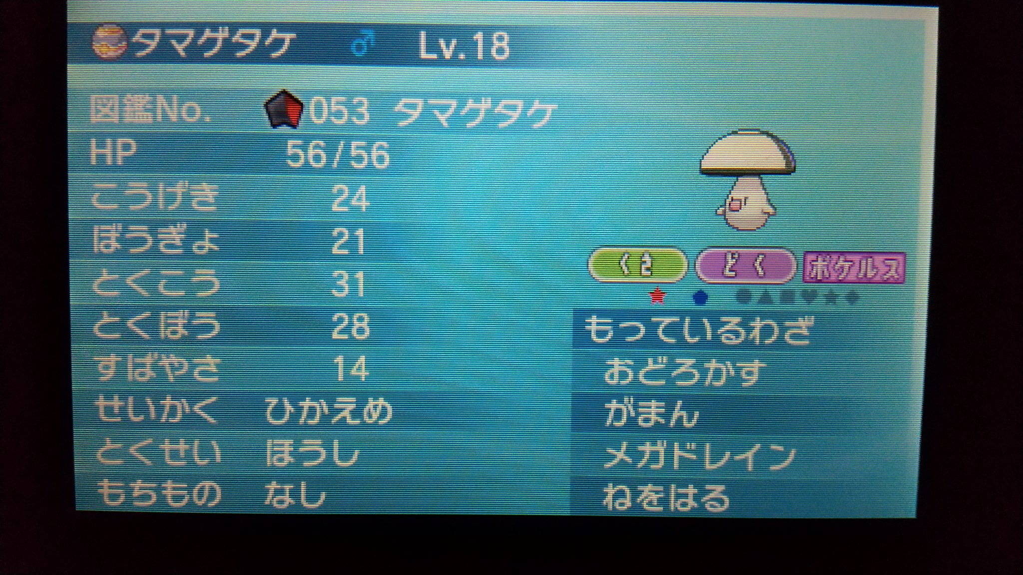 Trent105 ポケモンxy 色違い ポケモンy色違いの旅５体目の仲間は 紫ヤミカラス 青キノコを添えて 昔gtsで流れてきてビックリした記憶 色ドンカラスは凄く好きな鳥ポケモンなので本当に嬉しい タマゲタケも初ゲットでとても感謝 T Co