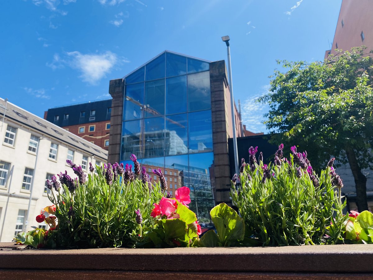 Linen Quarter BID tweet media