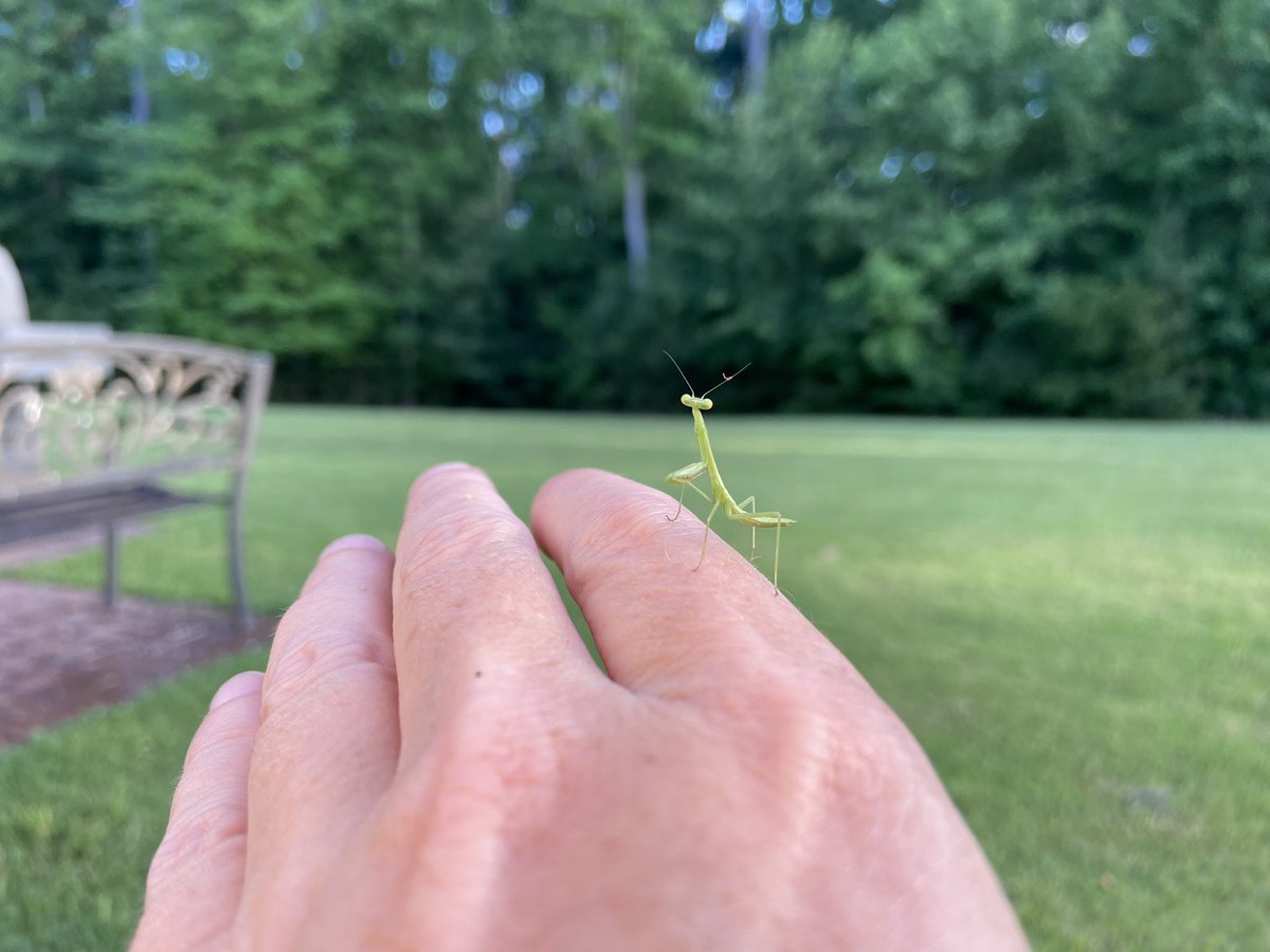 💚
