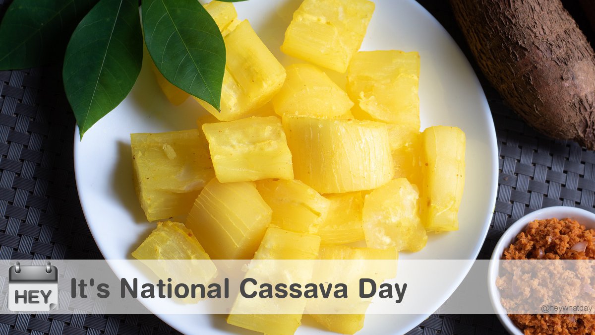It's Cassava Day! 
#NationalTapiocaDay #TapiocaDay #CassavaDay