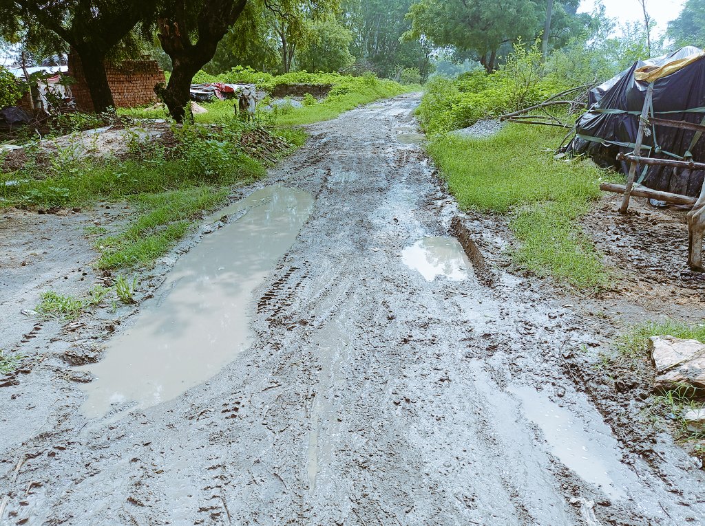 ChandanPathakM's tweet photo. सोनभद्र जनपद के अन्तर्गत विकासखंड घोरावल में स्थित ग्राम सभा मुडीलाडीह में मुख्य मार्ग से गांव को जोड़ने वाली विकास के इस दौर में मजाक बन के रह गई है जिसमे सम्बंधित अधिकारी यथा स्थिति को देखकर भी पल्ला झाड़ रहे हैं। साथ हीं सरकार के निश्चित आयाम सड़क,बिजली, पानी पर प्रसन्न चिन्ह https://t.co/nmwuPmFHmp