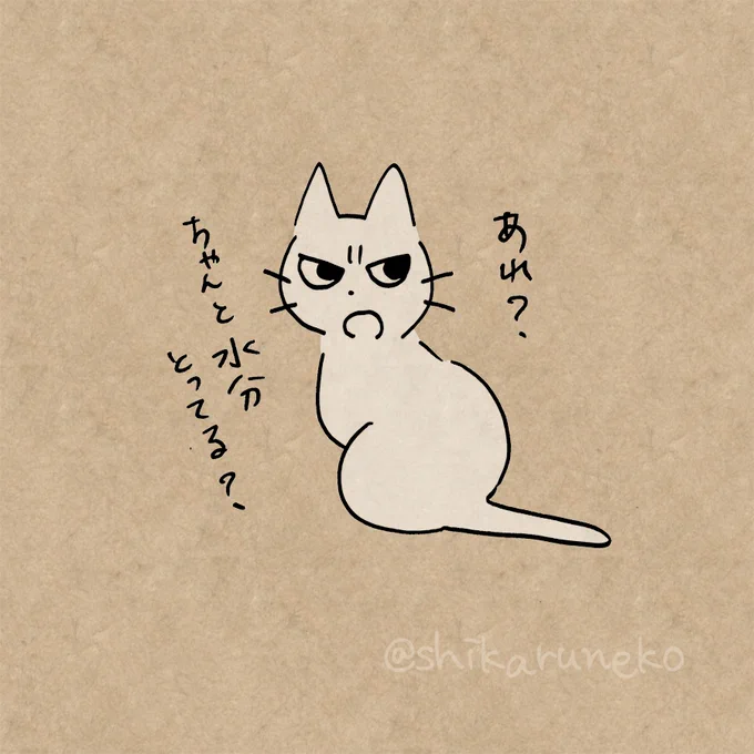 家にいると水分補給が減ってしまう人を叱ってくれる猫 