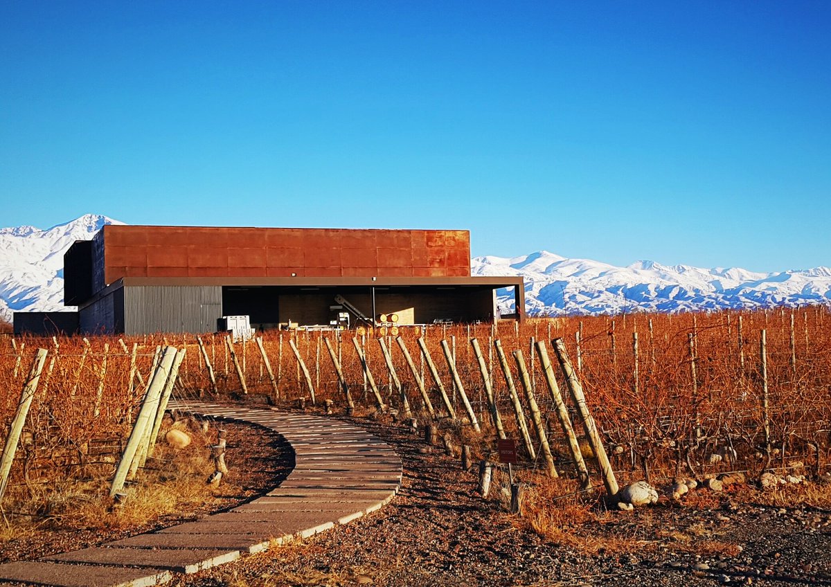El privilegio de pertenecer a este lugar <a href="/BodegaCDS/">Bodega Corazón Del Sol</a> <a href="/loschacayes/">Ig_loschacayes</a>