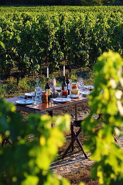 Un #dîner dans un #lieuinsolite, ça vous tente ? 😍
Dans les #vignes, dans le #cuvier ou dans le #chai à #barriques, les <a href="/VRaguenot/">Vignobles Raguenot</a> vous proposent un délicieux #repas cuisiné par le Chef Jonathan Jacquet accompagné des #vins du château.

👉 eatwith.com/events/41383?d…