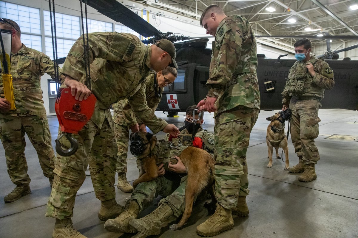 USArmyReserve's tweet photo. #USArmyReserve Soldiers from the @11thECAB hosted a MEDEVAC hoist training with military working dog handlers on Fort Carson, Colorado. 

Read more: https://t.co/pbpsuRkhhV

📸 Sgt. Alexander Morgan https://t.co/80wFh6YCy6