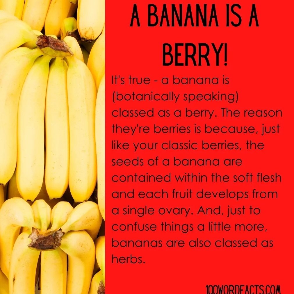 CopyWritesCopy1's tweet image. 100wordfacts.com