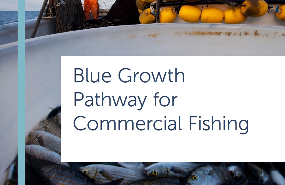atlanticmoses's tweet photo. MOSES project Policy Brief No. 7 Blue Growth Pathway for Commercial Fishing #fishing #Sustainability #AtlanticActionPlan #BlueGrowth #CommercialFishing https://t.co/ZqshlEic2o
