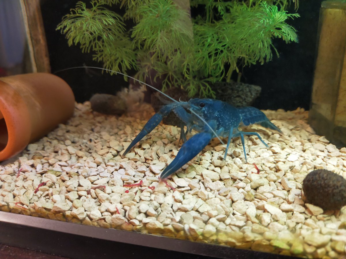 シザー ট ইট র অন সন ধ ন