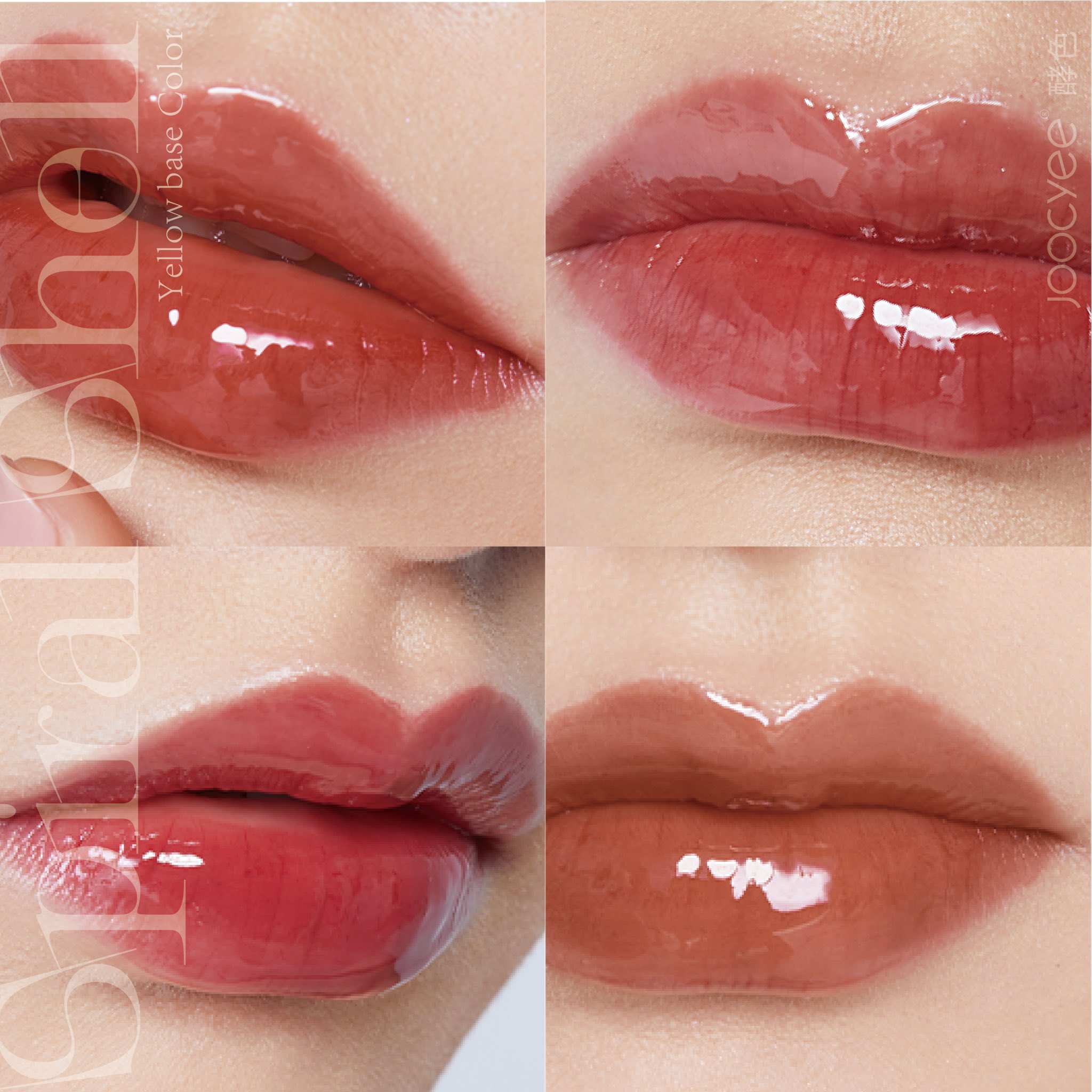 秘密 Mimi 中国コスメを1 3日でお届け イエベさん向けリップ Joocyee 貝殻シリーズ フルーツミラーリップグロス T Co Bj76lahxpv ブルベさん向けリップに続いて Joocyee フルーツミラーリップグロス より イエベさん向けリップ