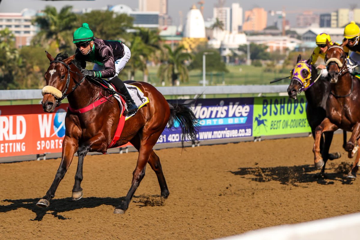 woodhillR's tweet photo. The Var colt VARISTOCRACY shows his speed at Hollywoodbets Greyville today and wins by 2.20 lengths. A superb ride by Lyle Hewitson. 

___

Congratulations to the winning connections. Well done to the breeders Drakenstein Stud (Nom: Mrs G A Rupert).

___

📸 @CandieseLPhoto https://t.co/yNdnhlSfp7