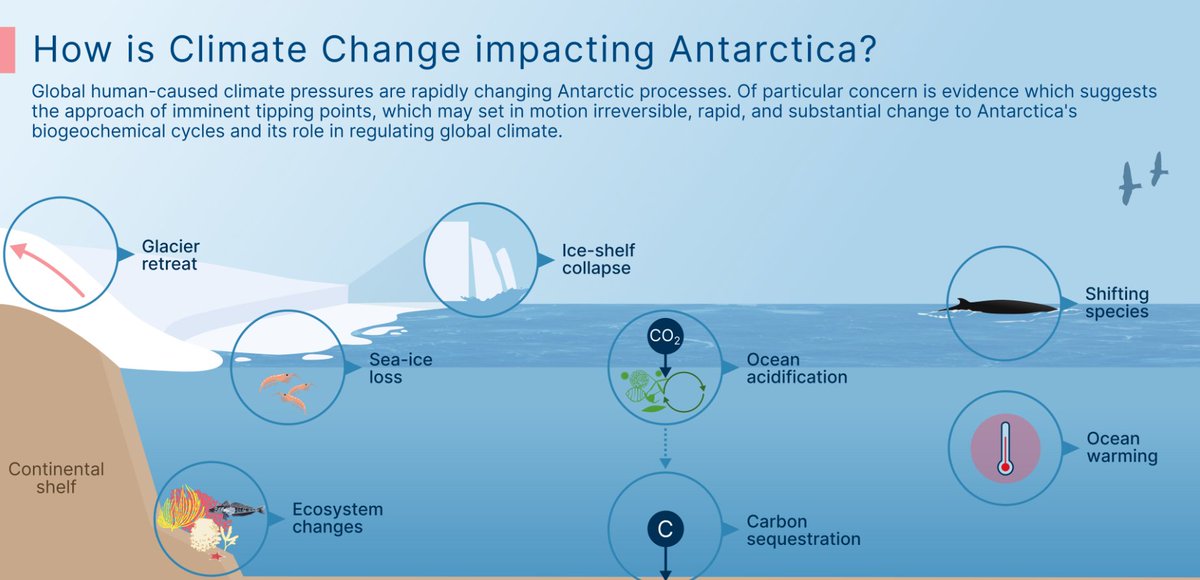 Lewis Pugh Foundation tweet media