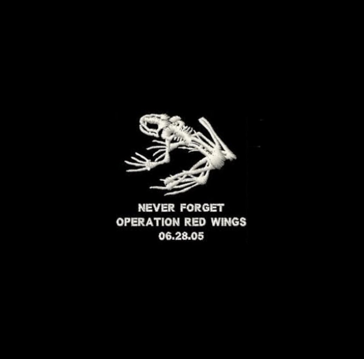 NEVER FORGET our Heroes. 🍻🇺🇸
#OperationRedWings