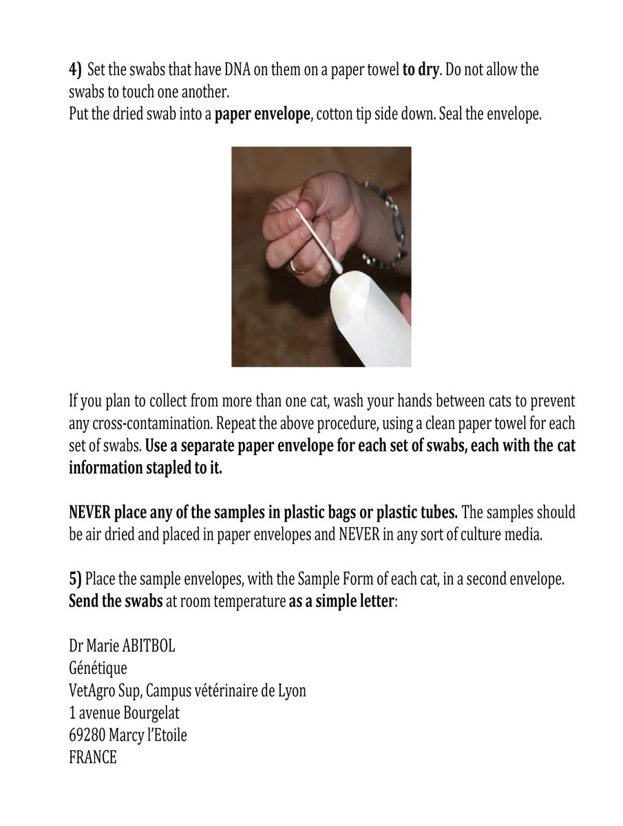 WCF - World Cat Federation e.V. tweet media