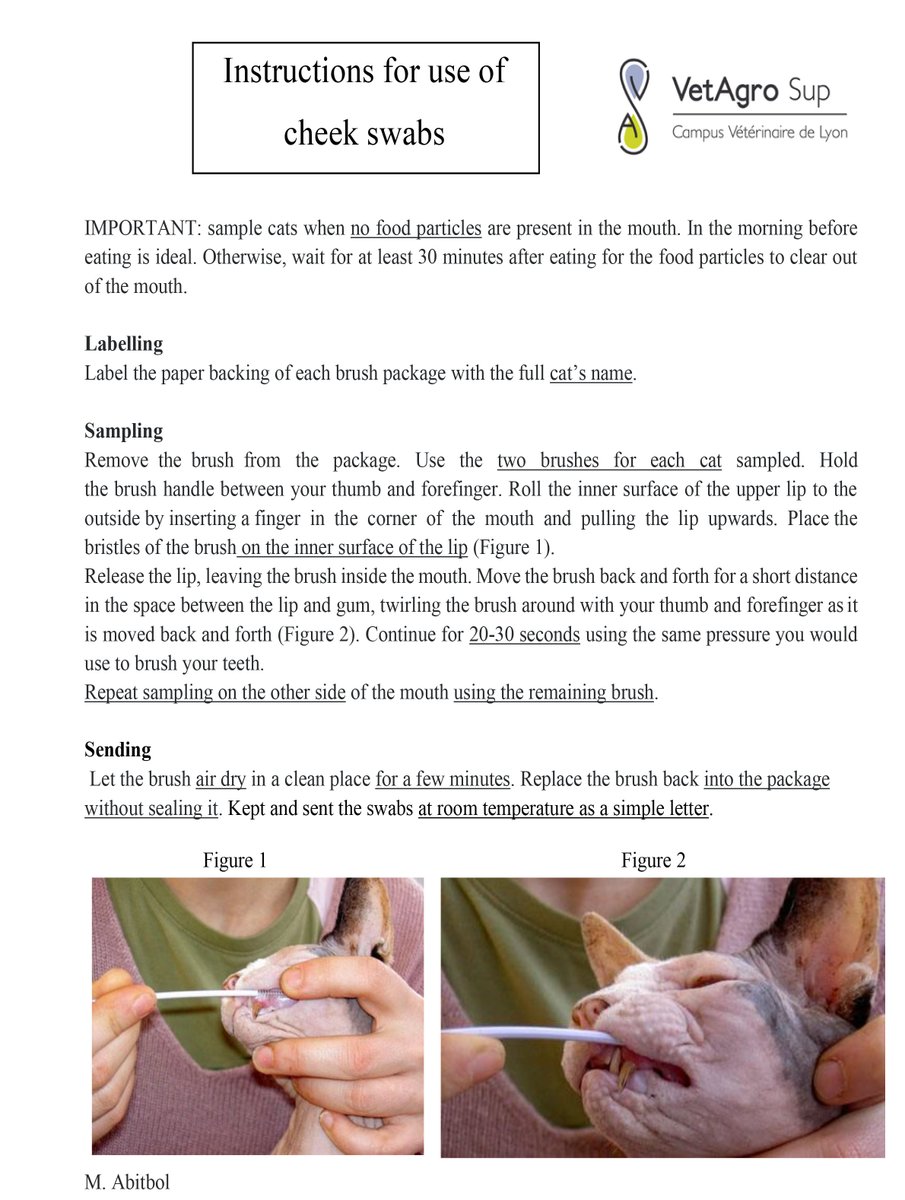 WCF - World Cat Federation e.V. tweet media