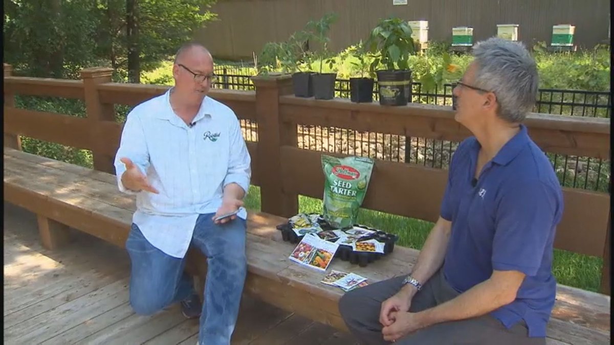 cbs11jeffrey's tweet photo. Just because we are in the summer heat doesn't mean you can't plant some crops in your garden. Not too late to put in these edibles. Great advice from our @TXPlantGuy
https://t.co/tod5JTbGgY https://t.co/xRhEAtohge