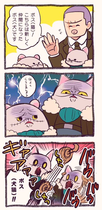 そんなぬるい答え聞いてねェんだよ!!!🐶🔪🐱 