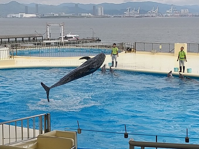 眠そうな目のtwitterイラスト検索結果