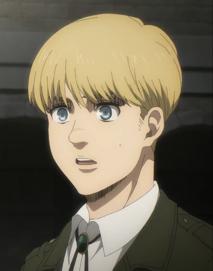 getoulogist's tweet photo. why armin arlert is the hottest attack on titan character, a thread: https://t.co/L4Z3Ral5nd