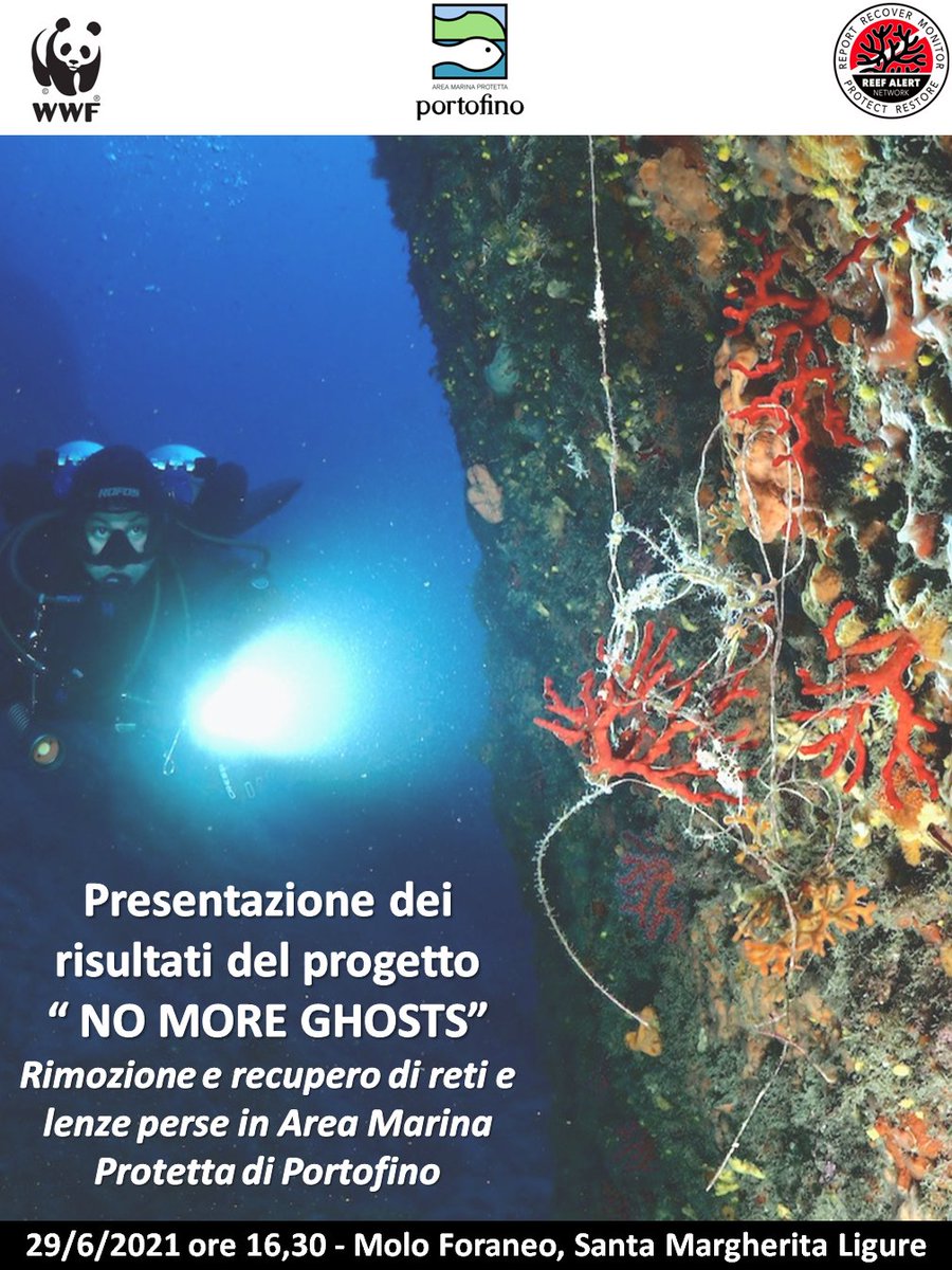 Amp_Portofino's tweet photo. Domani alle ore 16.30, sul Molo Foraneo di S.Margherita L, presentazione dei risultati delle attività di pulizia dei fondali nell'ambito del #Bluepandaweek realizzate con @WWFitalia !siateci! #conservazione #tutela #ghosgear https://t.co/FR8NjauADz