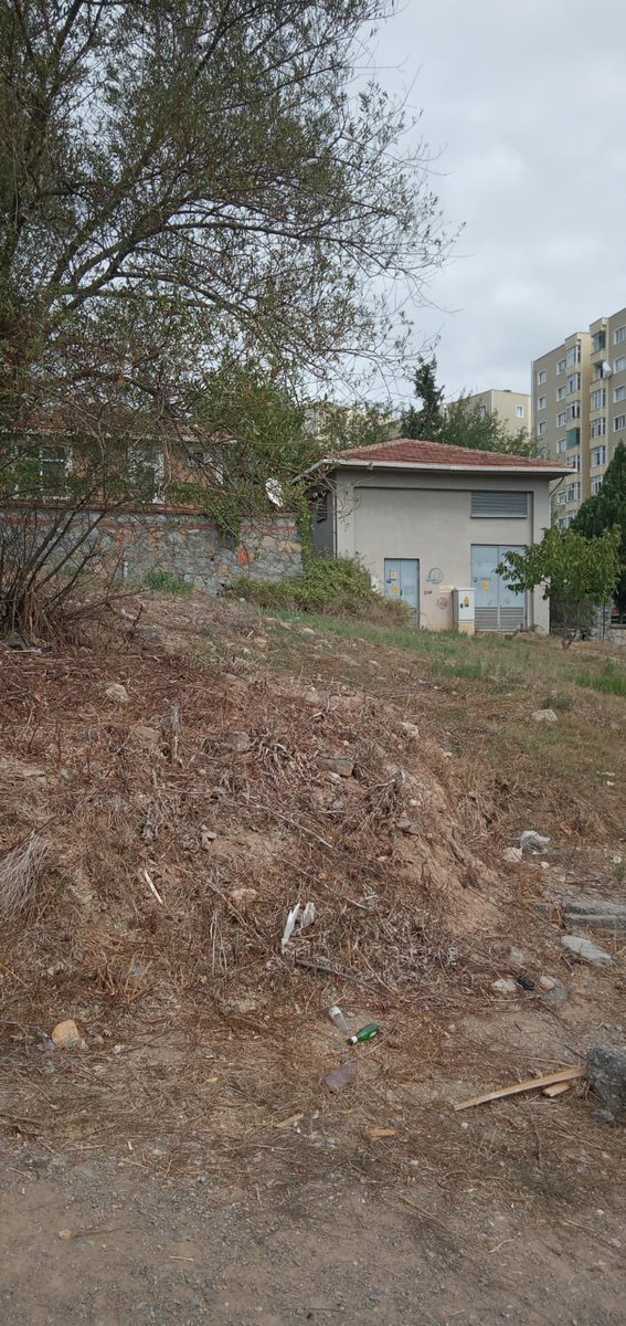 <a href="/ahmetcinpendik/">Ahmet Cin</a> <a href="/Pendik_Belediye/">Pendik Belediyesi 🇹🇷</a> Başkanım güzel çalışmalarınızdan dolayı tebrik ederim , yanlız cumhuriyet bulvarından geçen dere ve etrafından bir elaysanız , hazine arazisi ve dere güzargahı pislik içinde , cumhuriyet bulvarına  yakışmıyor ilginiz için teşekkür ederim