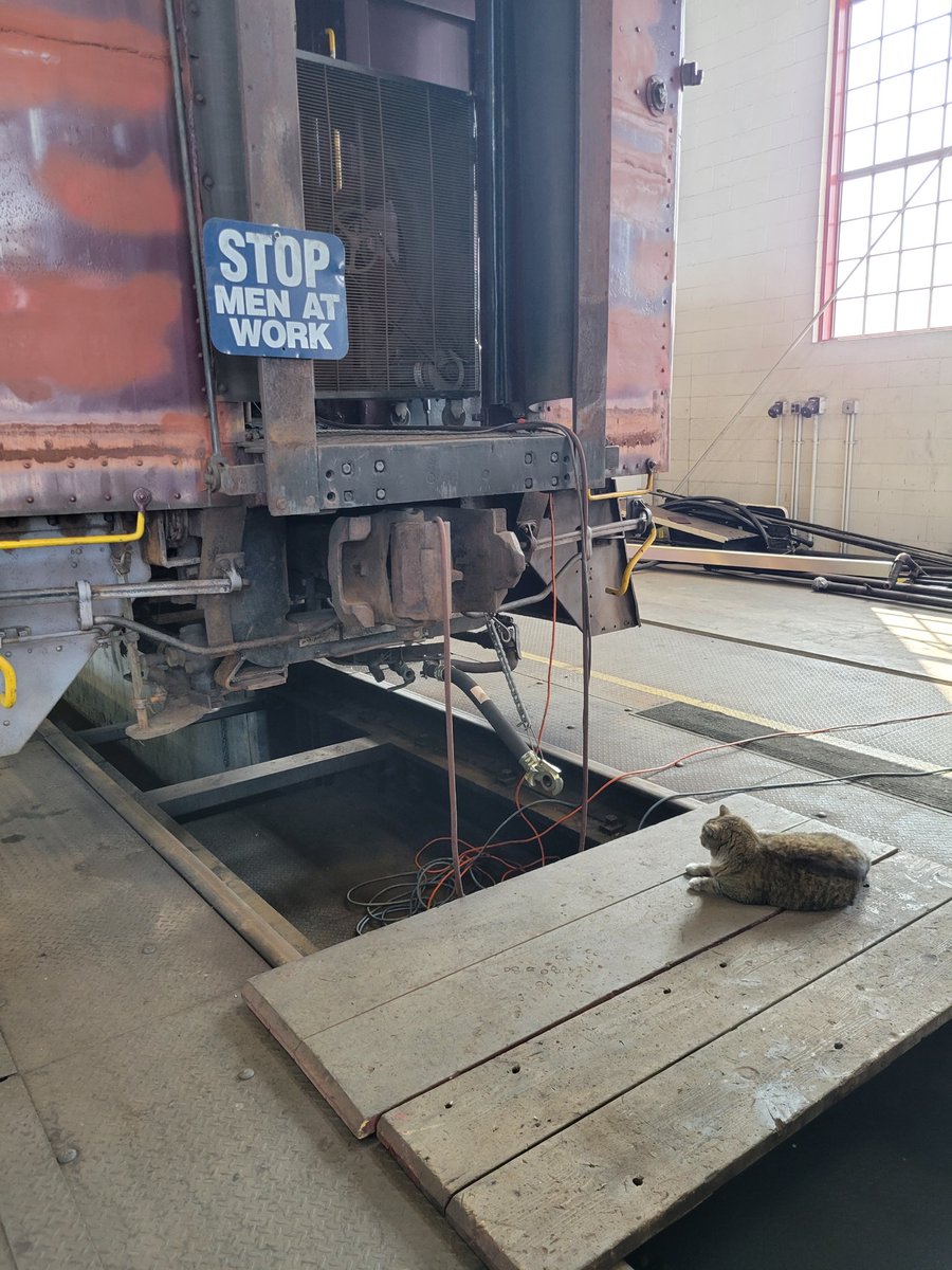 Working hard or hardly working. 
#ageofsteamroundhouse #steam #train #trains #locomotive #steamlocomotive #steampunk #railroad #railroadhistory #cats #catsofinstagram #ohiofindithere #CatsOfTwitter