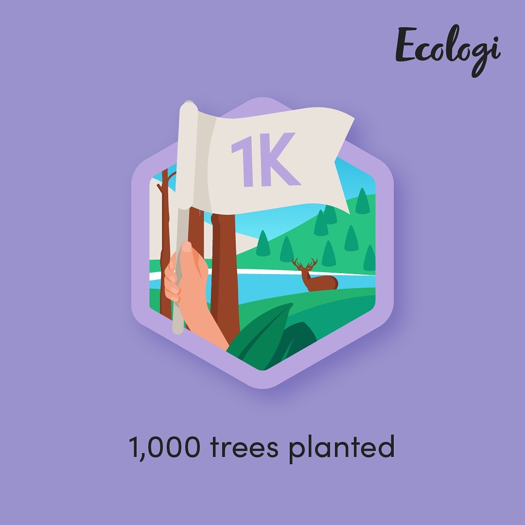 BOOOOMM...💥💥

Over 1000 trees now planted 🌲🌳

 We're now doubling our efforts and will plant 2 new trees with <a href="/Ecologi_hq/">Ecologi 🌍</a> for every order we process online 🖥️ and in-store 🏪...including #indiibrewclub subscriptions 👊👊👊

🔗Indiibrewco.com 

#sustainable #beeroclock