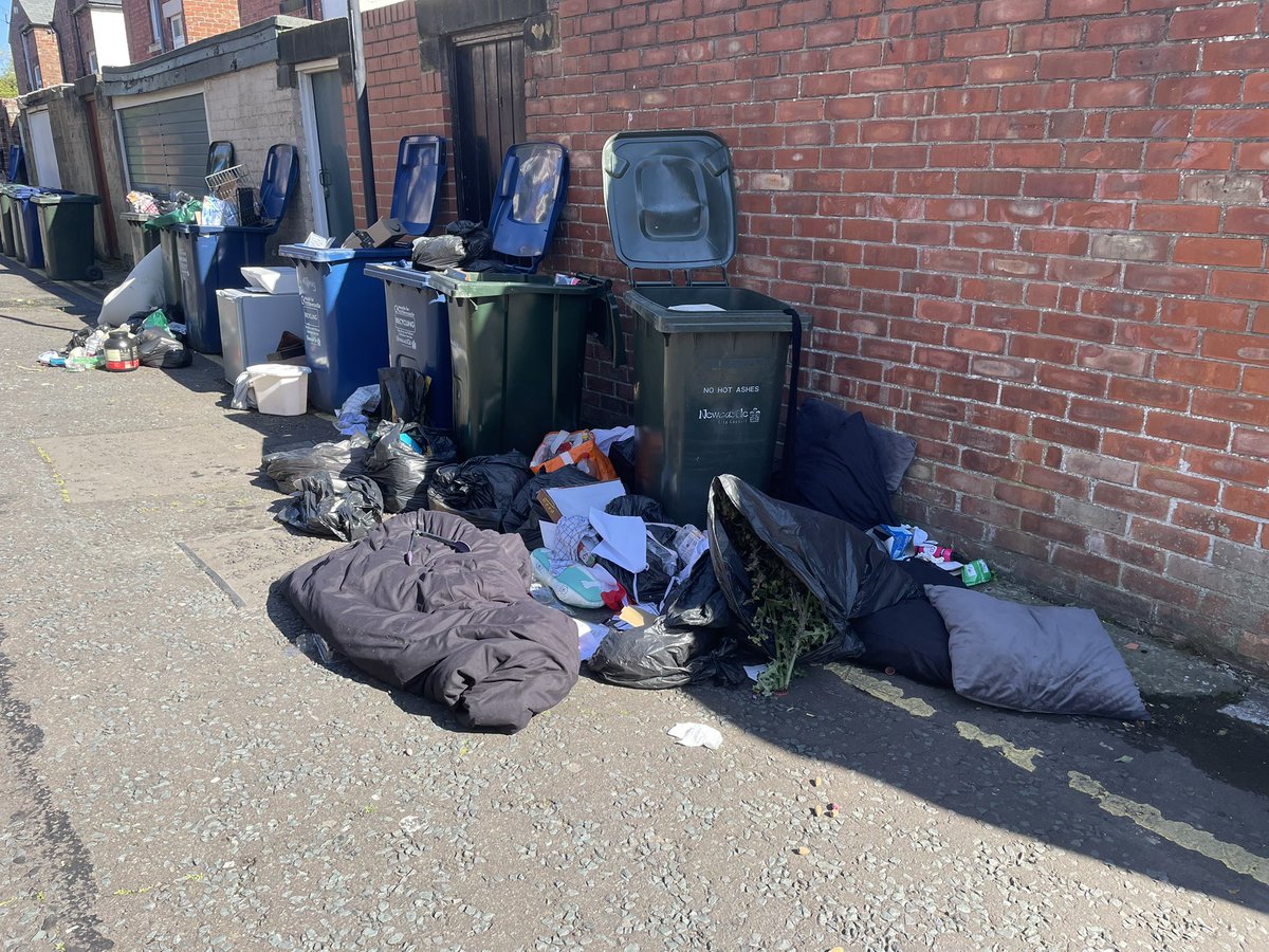 EndASBinJesmond's tweet photo. The Holmwood Grove/Myrtle Rd back lane is smelling particularly fruity today #studentslums #rewildingjesmond @NCC_Leader @UniofNewcastle, @NorthumbriaUni, @NewcastleCC, @ChronicleLive @JesmondStella https://t.co/nrd3TwbVn9