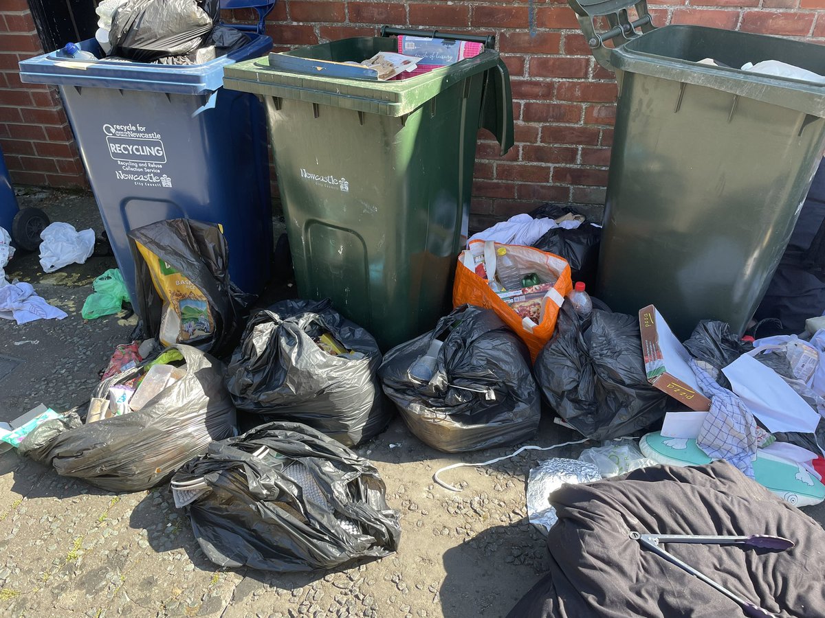 EndASBinJesmond's tweet photo. The Holmwood Grove/Myrtle Rd back lane is smelling particularly fruity today #studentslums #rewildingjesmond @NCC_Leader @UniofNewcastle, @NorthumbriaUni, @NewcastleCC, @ChronicleLive @JesmondStella https://t.co/nrd3TwbVn9