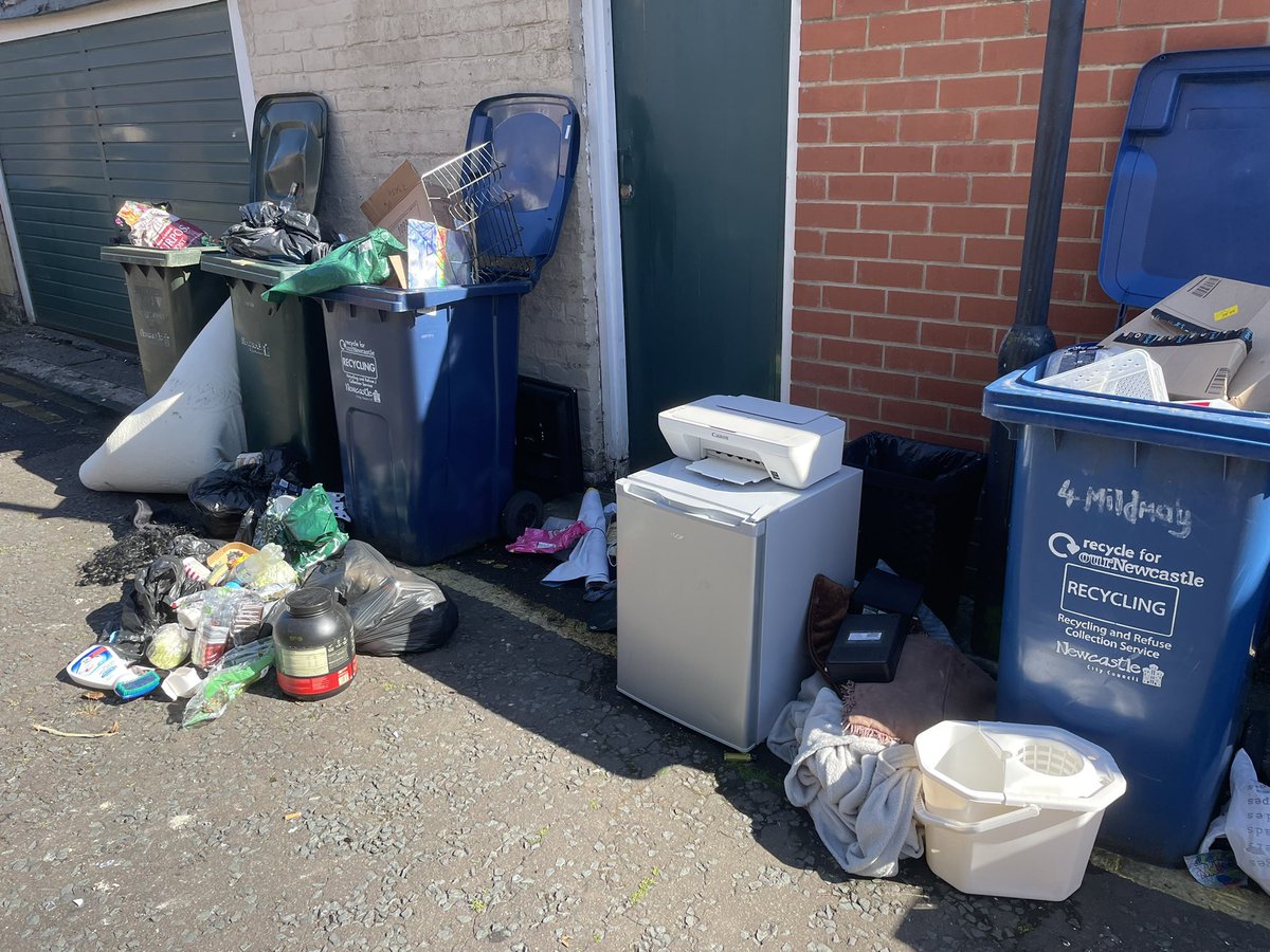 EndASBinJesmond's tweet photo. The Holmwood Grove/Myrtle Rd back lane is smelling particularly fruity today #studentslums #rewildingjesmond @NCC_Leader @UniofNewcastle, @NorthumbriaUni, @NewcastleCC, @ChronicleLive @JesmondStella https://t.co/nrd3TwbVn9