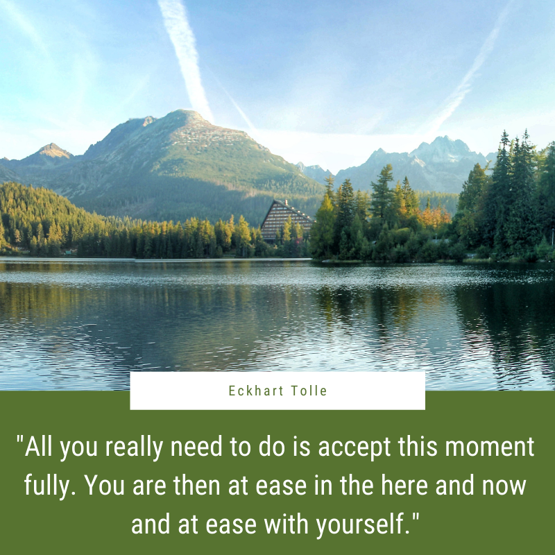 "All you really need to do is accept this moment fully. You are then at ease in the here and now and at ease with yourself." - Eckhart Tolle